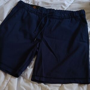 Men's Navy‎ Blue Shorts